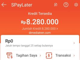 Daftar spaylater terbaru